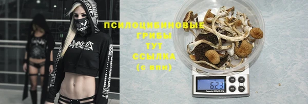 каннабис Алексеевка