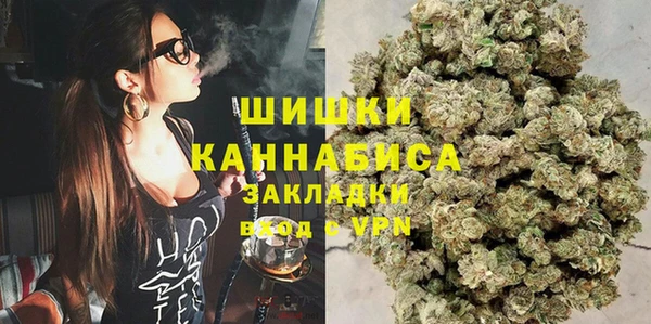 дживик Абаза