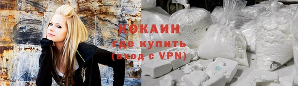 тгк Алзамай