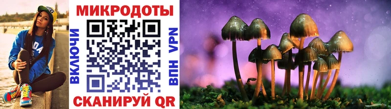 Псилоцибиновые грибы Cubensis  где купить наркоту  Яровое 